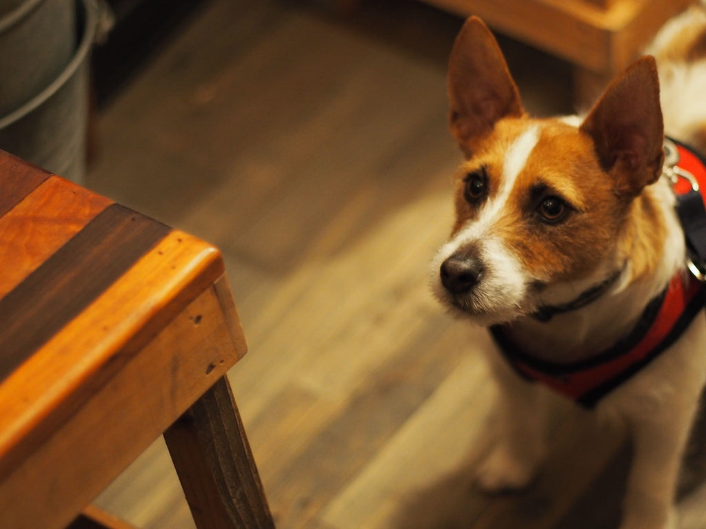 Contax Planar 50mm f1.4 Photo at レインボー倉庫2