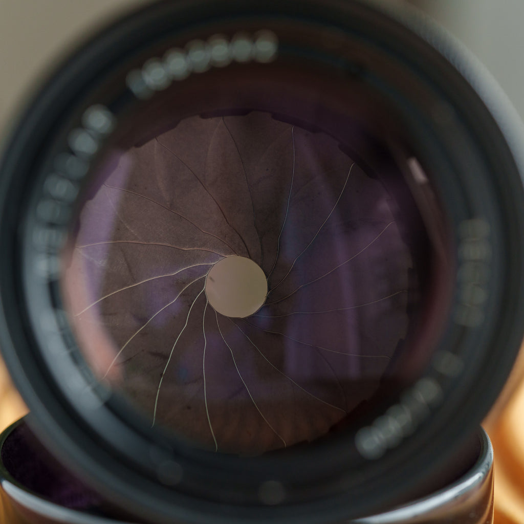 Leica Telyt 200mm f/4 Visoflex用