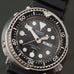 Professional 300m Diver Quartz 7549-7010