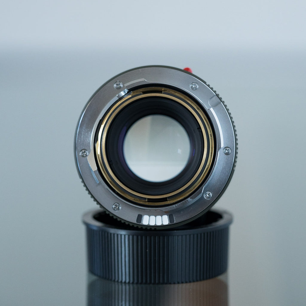 Leica Summicron-M 50mm f/2 "Safari"