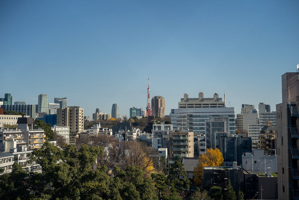 Leica Summicron-M 50mm f/2 "Safari"