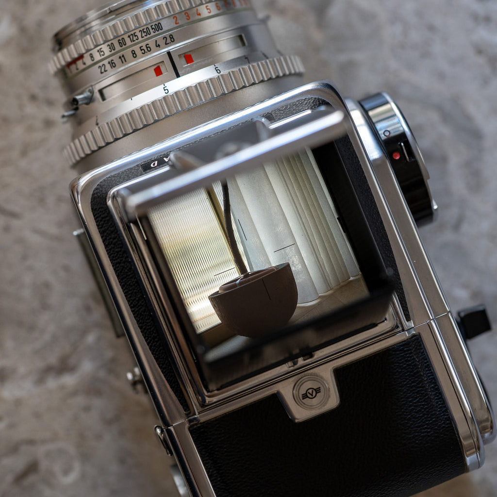 Hasselblad 500C/M (C Planar T* 80mm f/2.8+A12マガジン)