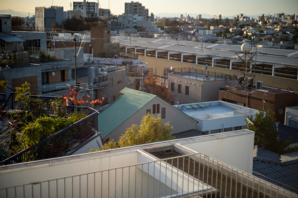 Leica Summilux 50mm f/1.4 1st 貴婦人【OH済み】