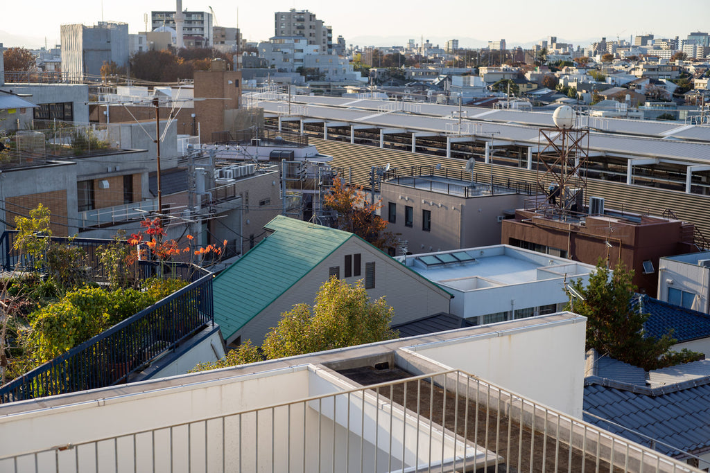 Leica Summilux 50mm f/1.4 1st 貴婦人【OH済み】