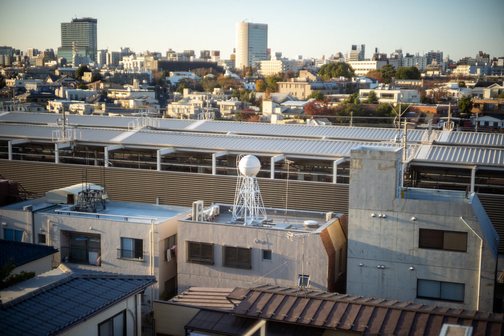 Leica Summilux 50mm f/1.4 1st 貴婦人【OH済み】