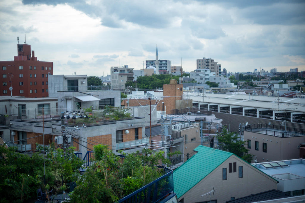 Leica Summilux 50mm f/1.4 1st 貴婦人 【OH済み】