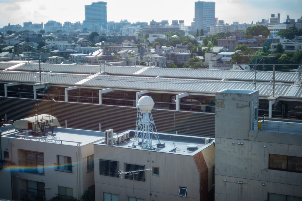 Leica Summilux 50mm f/1.4 1st 貴婦人 【OH済み】