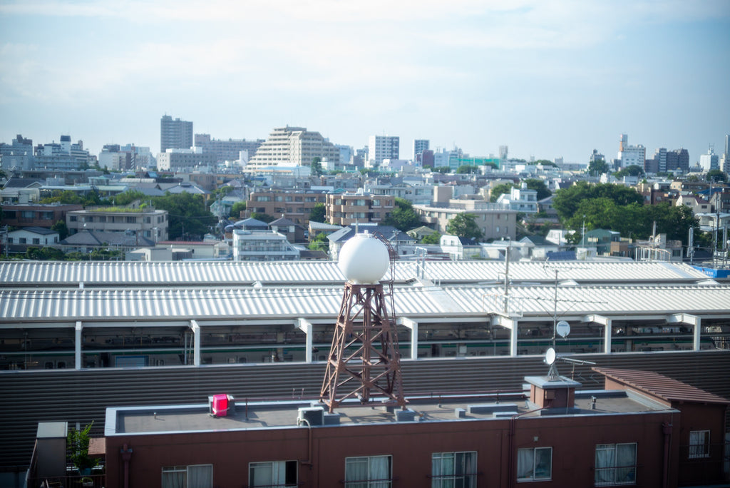 Leica Summilux 50mm f/1.4 1st 貴婦人 【OH済み】