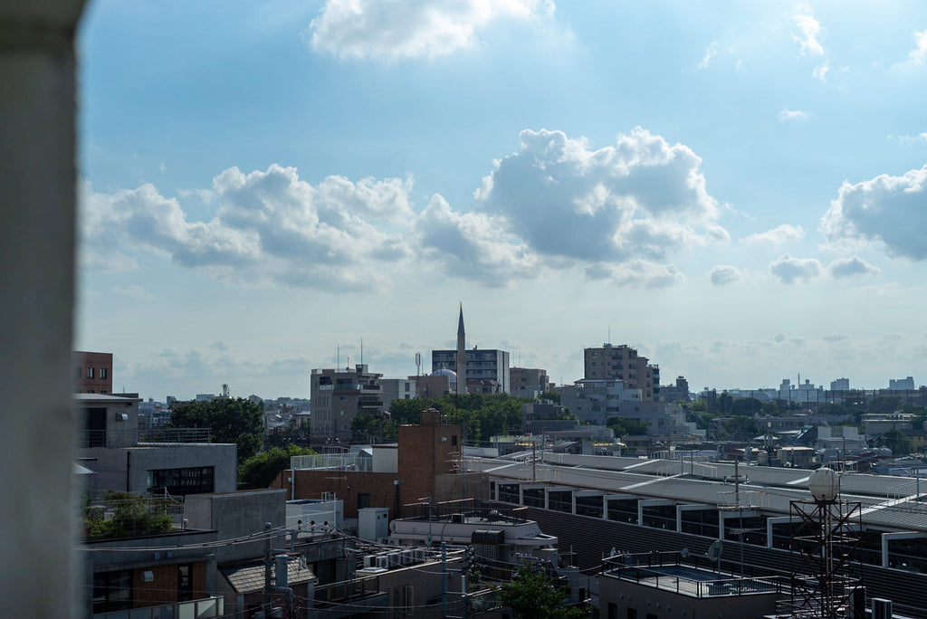 Leica Summilux 50mm f/1.4 1st 貴婦人 【OH済み】