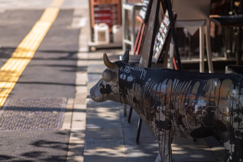 Leica Tele-Elmarit-M 90mm f/2.8 【OH済み】