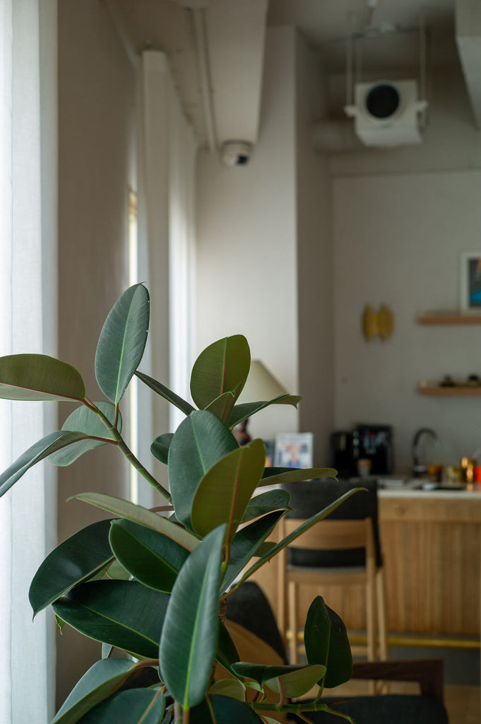 Leica M9 ブラックペイント【CCD交換済み】