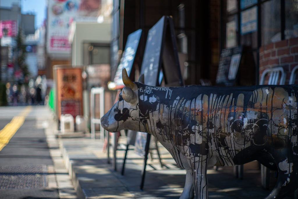 Leica Summilux-M 50mm f1/.4 3rd Silver Chrome Lマウント