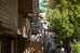 Leica Tele-Elmarit-M 90mm f/2.8 【OH済み】