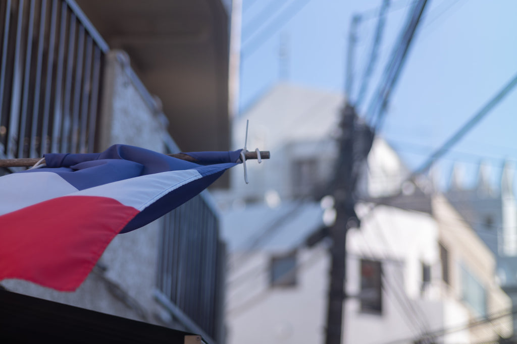 Leica Tele-Elmarit-M 90mm f/2.8 【OH済み】