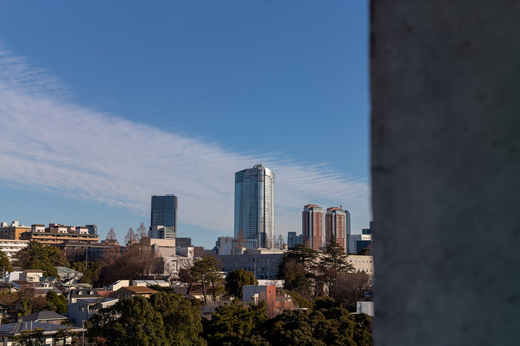 Leica Summicron 50mm f/2 固定鏡胴【OH済み】