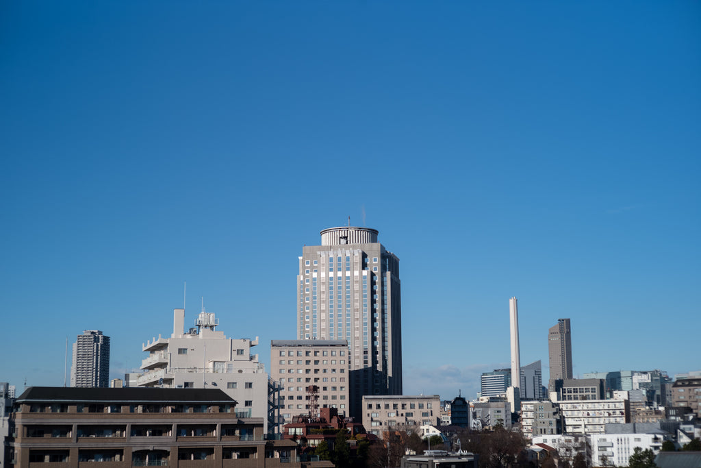 Leica Summicron 50mm f/2 沈胴 Lマウント【OH済み】
