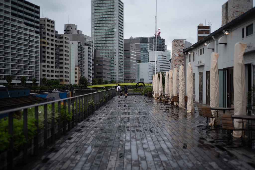 Leica Summilux-M 50mm f/1.4 ASPH Black 11891C 【OH済み】