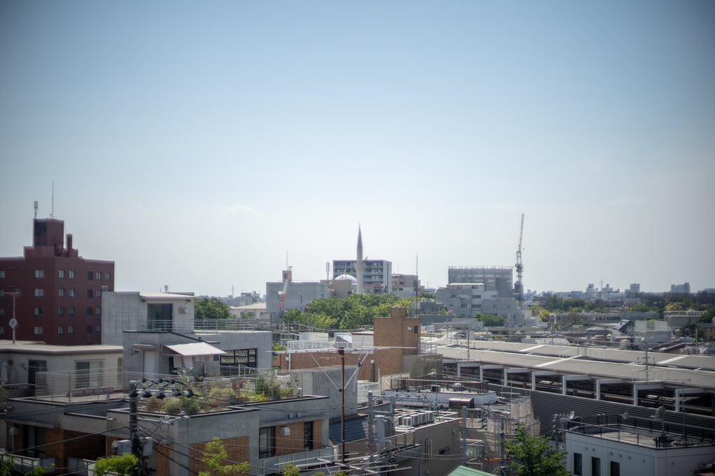 Leica Summilux 50mm f/1.4 1st 貴婦人【OH済み】