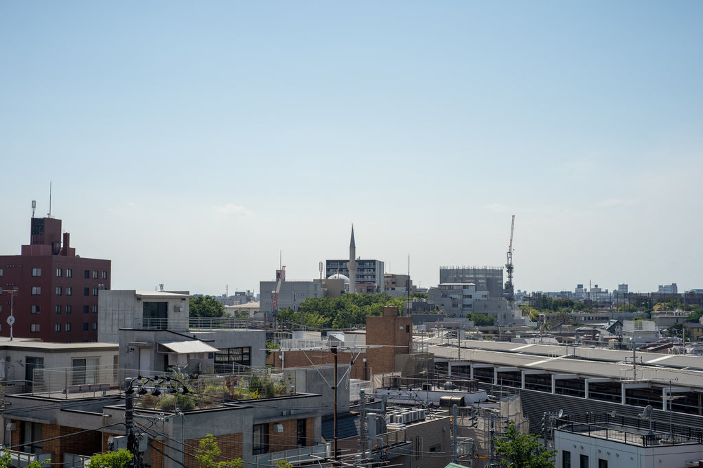 Leica Summilux 50mm f/1.4 1st 貴婦人【OH済み】