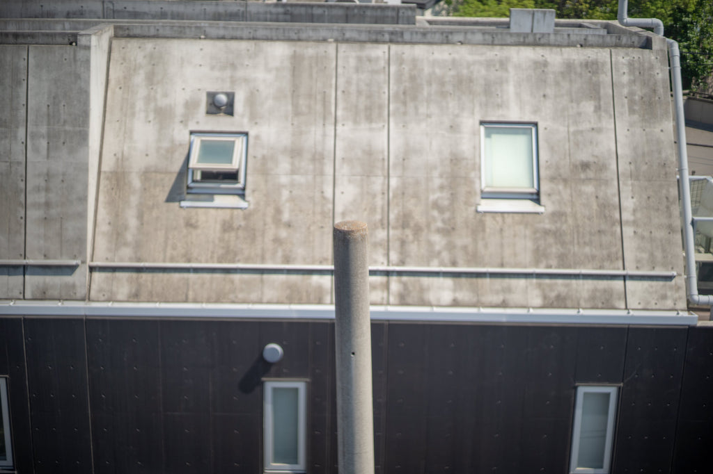 Leica Summilux 50mm f/1.4 1st 貴婦人【OH済み】